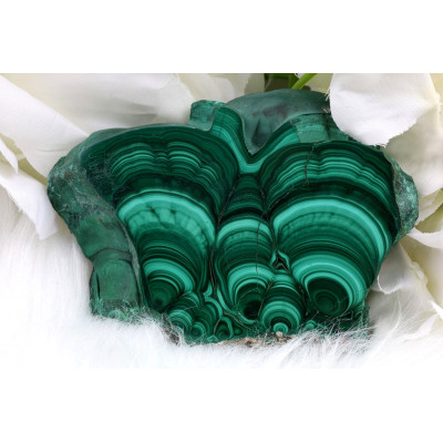 Plátek Malachit č. 1025 (94x70x14 mm) | Levné Minerály