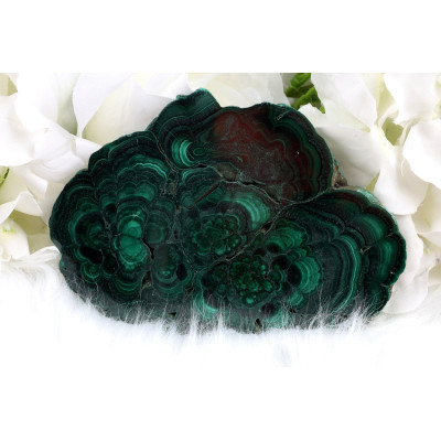 Plátek Malachit 116x87 mm | Levné Minerály