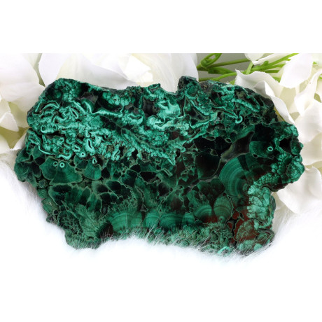 Plátek Malachit č. 1035 (133x88x16 mm) | Levné Minerály