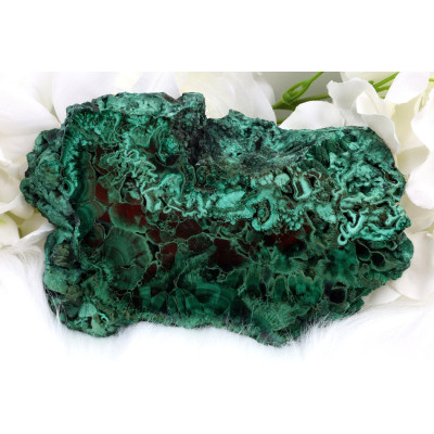 Plátek Malachit č. 1035 (133x88x16 mm) | Levné Minerály