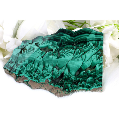 Plátek Malachit č. 1036 (139 mm) | Levné Minerály