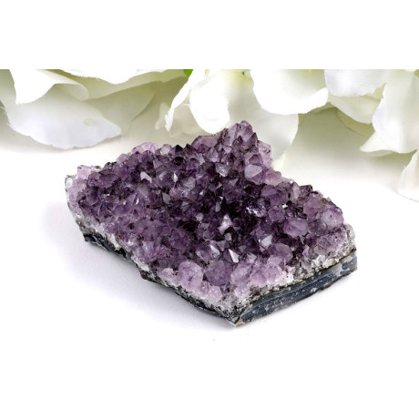 Ametyst drúza Brazílie 74x63x29mm - Přírodní krása 173g
