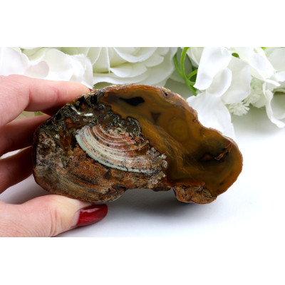 Leštěný řez Timor achát (97x54x30 mm) | Levné Minerály