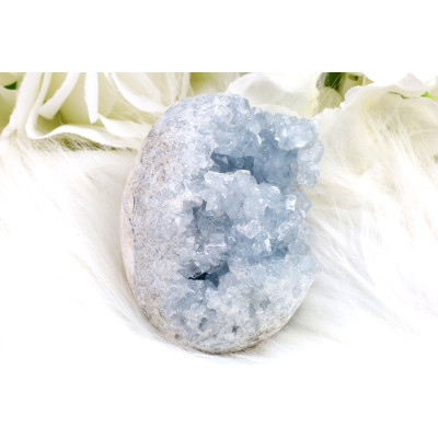 Vejce Celestin č. 1153 (65x51x47 mm) | Levné Minerály