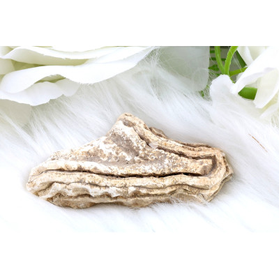 Leštěný řez Sumatra achátu č.1285 | Levné Minerály