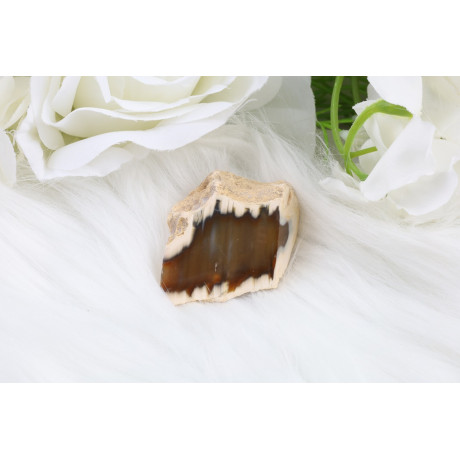 Leštěný řez Sumatra achát č.1287 | Levné Minerály