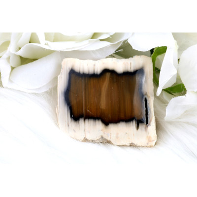 Leštěný řez Sumatra achátu č.1288 | Levné Minerály