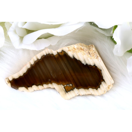 Leštěný řez Sumatra achátu č.1303 | Levné Minerály