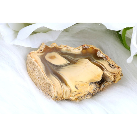 Leštěný řez Sumatra achátu č.1308 | Levné Minerály