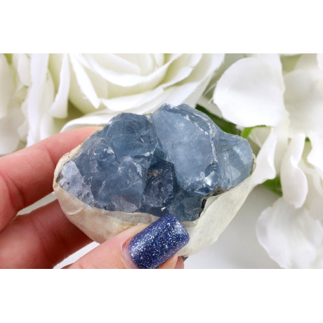 Celestýn drúza č. 1319 | Levné Minerály