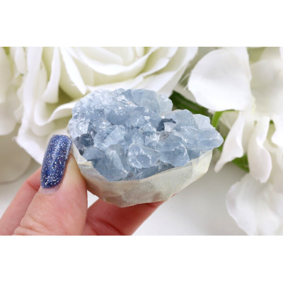 Celestýn drúza č. 1322 | Levné Minerály