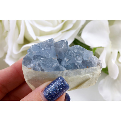 Celestýn drúza č. 1323 | Levné Minerály