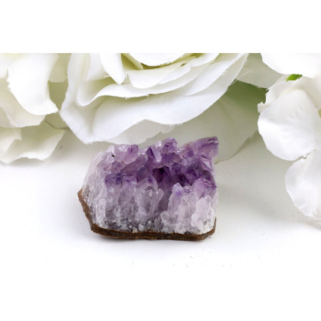 Ametyst drúza č.1342 | Levné Minerály