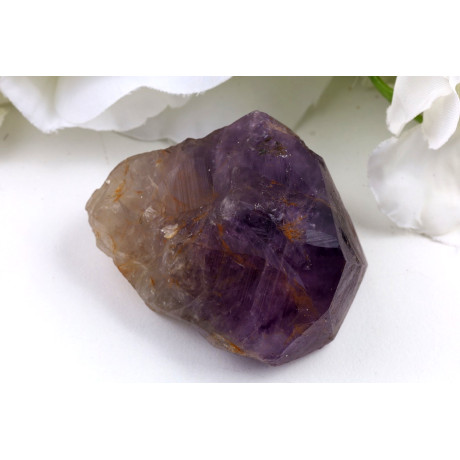 Ametyst zub č.1351 | Levné Minerály