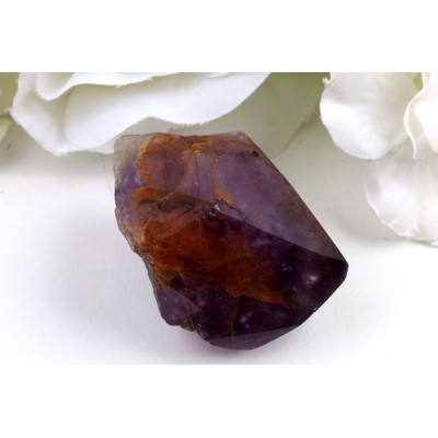 Ametyst zub č.1356 | Levné Minerály