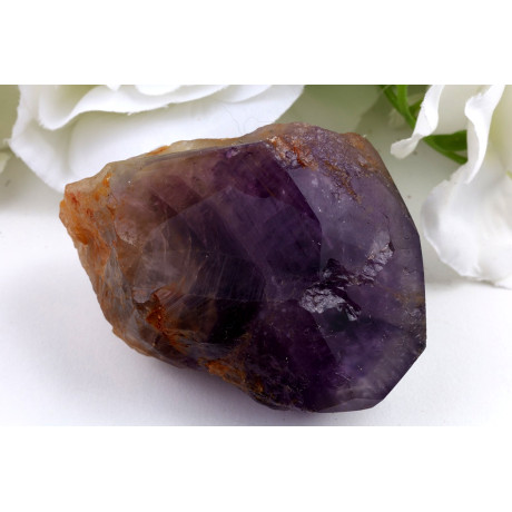 Ametyst zub č.1360 | Levné Minerály