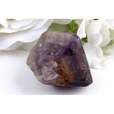 Ametyst zub č.1361 | Levné Minerály