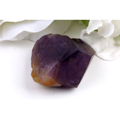 Ametyst zub č.1362 | Levné Minerály