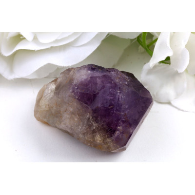 Ametyst zub č.1363 | Levné Minerály