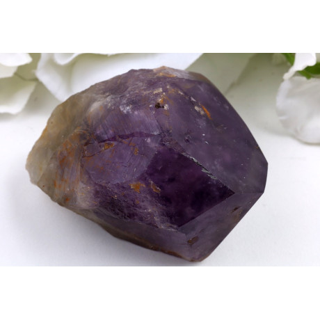 Ametyst zub č.1365 | Levné Minerály
