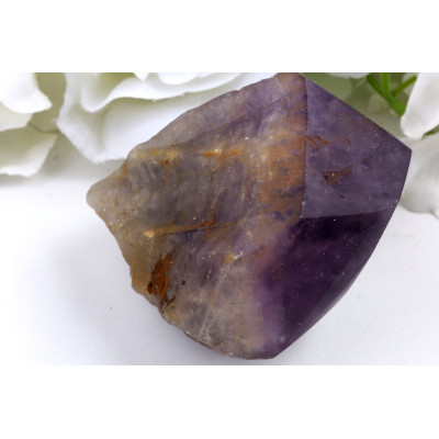 Ametyst zub č.1365 | Levné Minerály