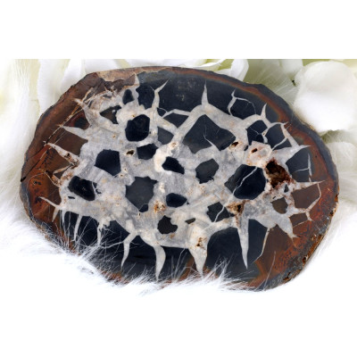 Plátek Septárie č. 1371 | Levné Minerály