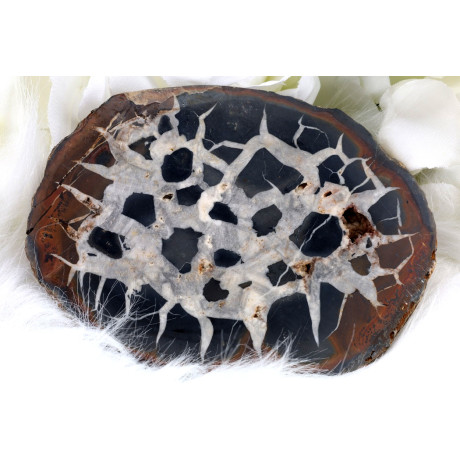 Plátek Septárie č. 1371 | Levné Minerály