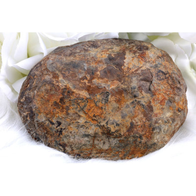 Plátek Septárie č. 1371 | Levné Minerály