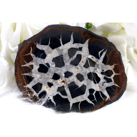 Plátek Septárie č. 1372 | Levné Minerály