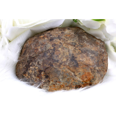 Plátek Septárie č. 1372 | Levné Minerály