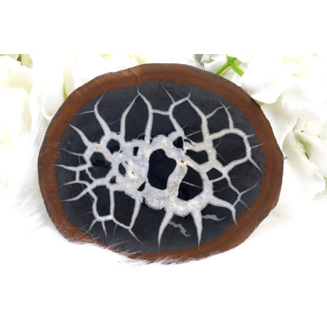 Plátek Septárie č. 1373 | Levné Minerály