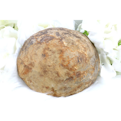 Plátek Septárie č. 1373 | Levné Minerály