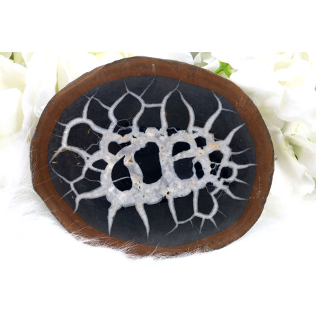 Plátek Septárie č. 1374 | Unikátní energie Madagaskaru