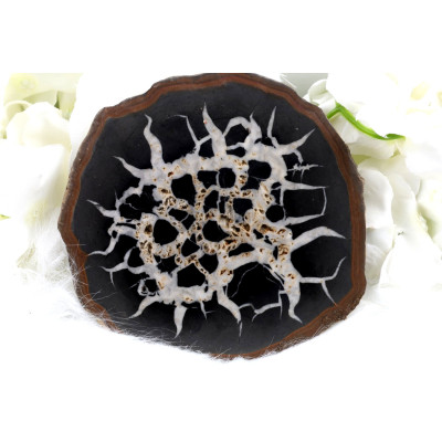 Plátek Septárie č. 1375 | Levné Minerály