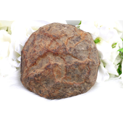 Plátek Septárie č. 1375 | Levné Minerály