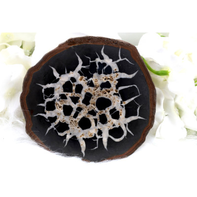 Plátek Septárie č. 1376 | Levné Minerály