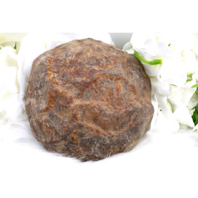 Plátek Septárie č. 1376 | Levné Minerály