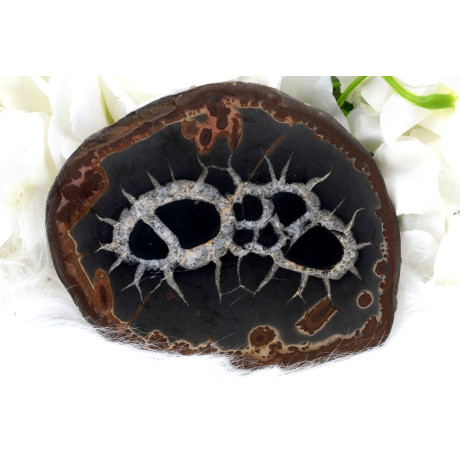 Plátek Septárie č. 1378 | Levné Minerály