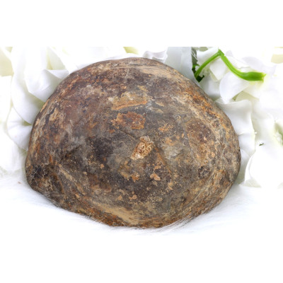 Plátek Septárie č. 1378 | Levné Minerály