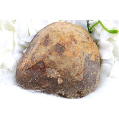 Plátek Septárie č. 1379 | Levné Minerály