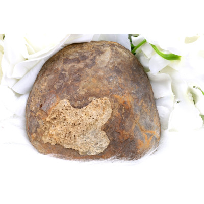 Plátek Septárie č. 1380 | Levné Minerály