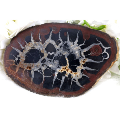 Plátek Septárie č. 1382: Posel stability z Madagaskaru | Levné Minerály