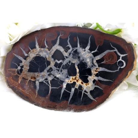 Plátek Septárie č. 1382: Posel stability z Madagaskaru | Levné Minerály