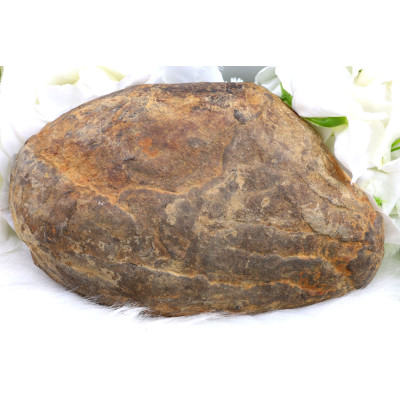 Plátek Septárie č. 1382: Posel stability z Madagaskaru | Levné Minerály