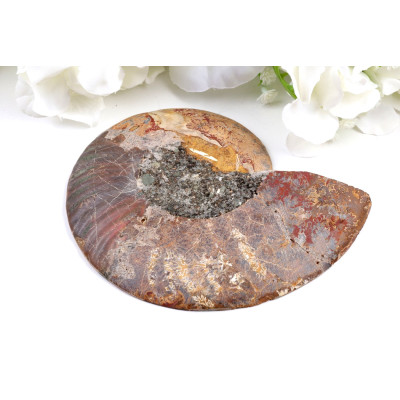 Amonit - Fosílie č. 1493 | Levné Minerály