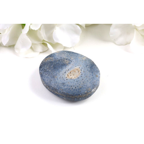 Modrý korál hmatka 56x45 mm | Pacifik | Minerály