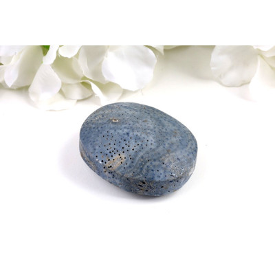 Modrý korál hmatka 56x45 mm | Pacifik | Minerály