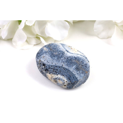 Modrý korál hmatka 59x42 mm | Pacifik | Minerály