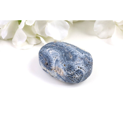 Modrý korál hmatka 59x42 mm | Pacifik | Minerály