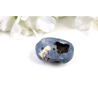 Modrý korál hmatka 51x37 mm | Pacifik | Minerály